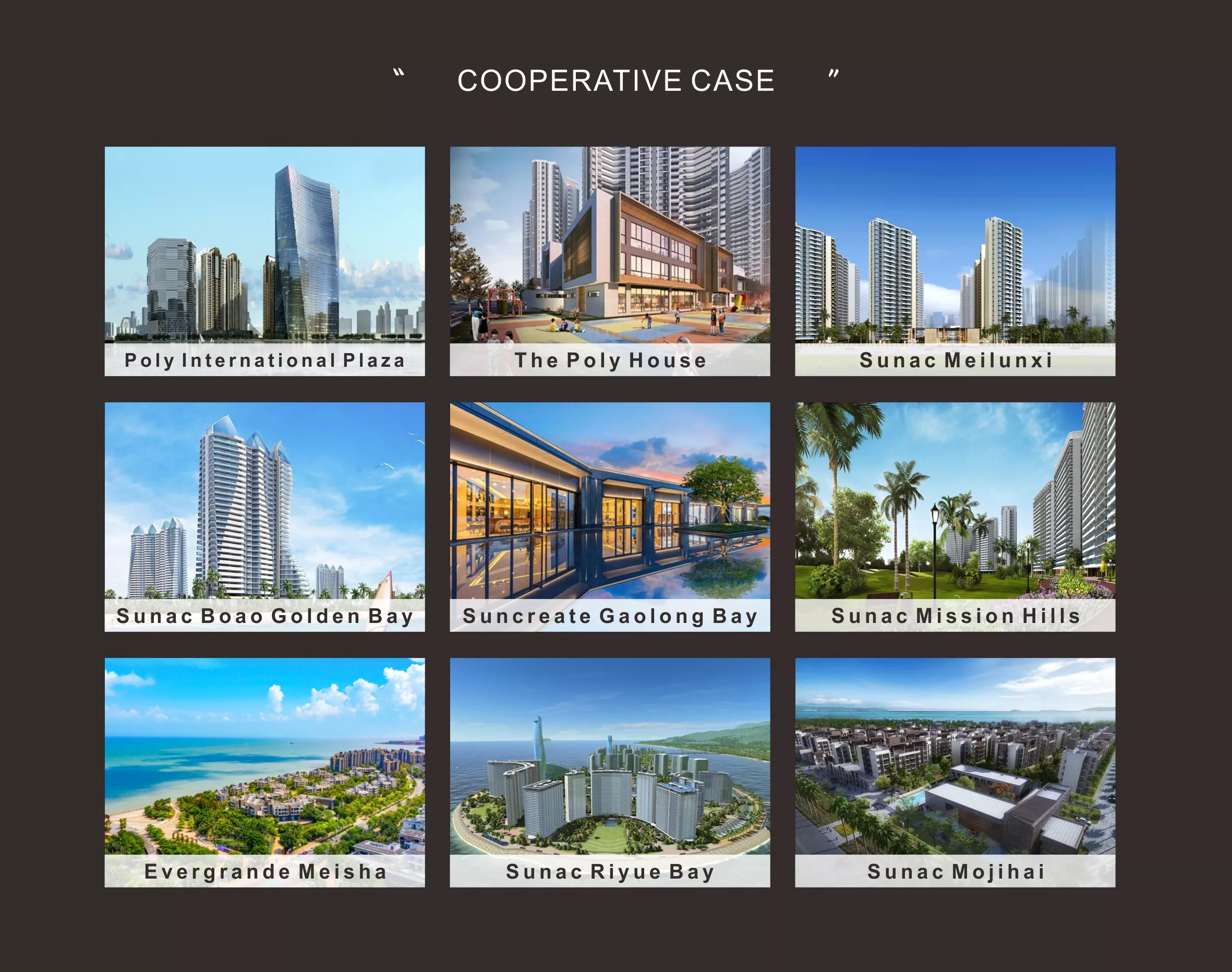 cooperative case